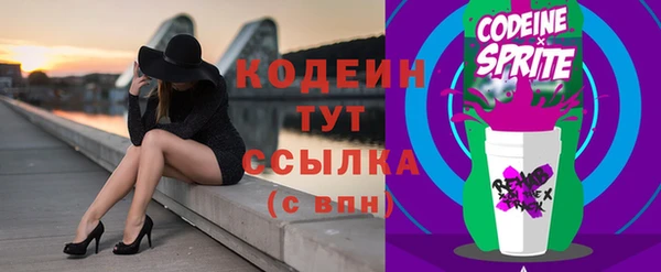 ешки Иннополис