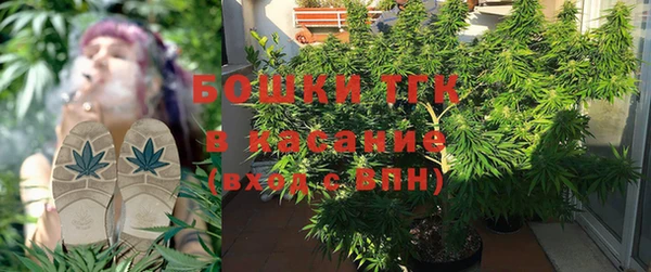 ешки Иннополис