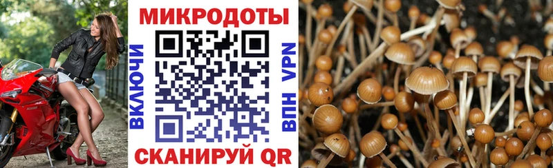 Галлюциногенные грибы мицелий  купить   Кемь 